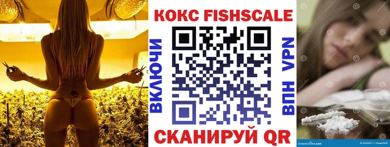 Кокаин FishScale  Купить где  Боготол 