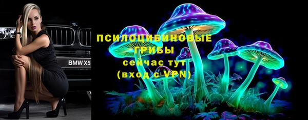 ГАЛЛЮЦИНОГЕННЫЕ ГРИБЫ Богородск