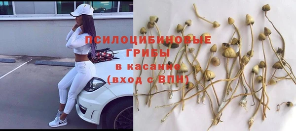 ГАЛЛЮЦИНОГЕННЫЕ ГРИБЫ Богородск