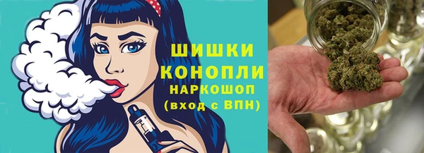 mix Богородицк