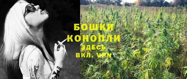 mix Богородицк