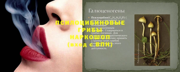 mix Богородицк