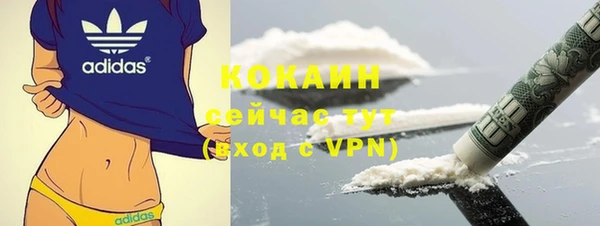 mix Богородицк