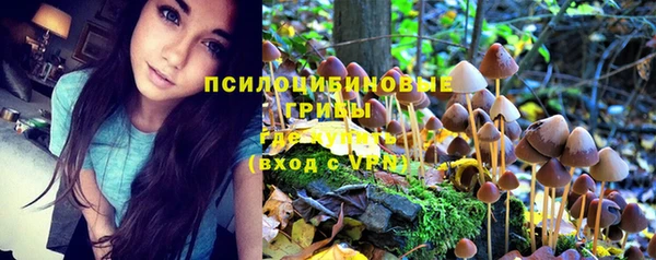ГАЛЛЮЦИНОГЕННЫЕ ГРИБЫ Богородск