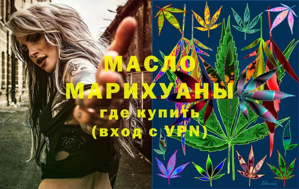 mix Богородицк