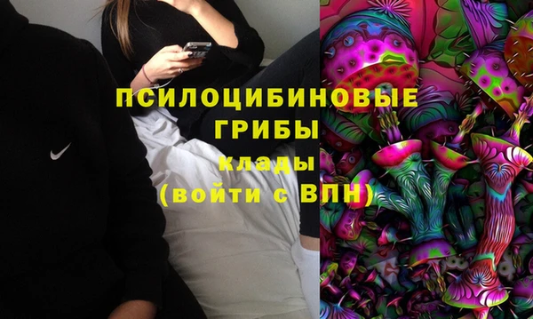 ГАЛЛЮЦИНОГЕННЫЕ ГРИБЫ Богородск