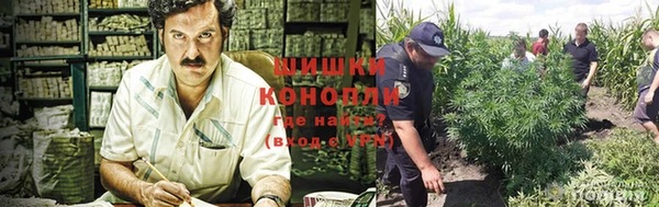 мяу мяу кристалл Богданович