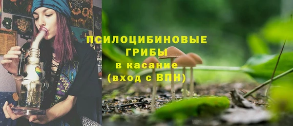 ГАЛЛЮЦИНОГЕННЫЕ ГРИБЫ Богородск