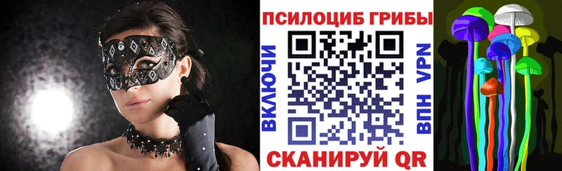 Галлюциногенные грибы Cubensis  Купить закладки  Боготол 